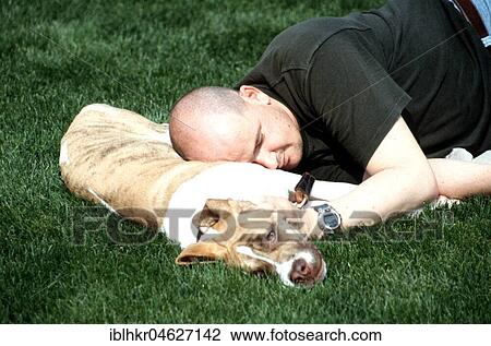 Man sleeps with dog as pillow, Berlin, Germany, Europe View Large Photo Image Stock Image - Man sleeps with dog as pillow, Berlin, Germany, Europe. Fotosearch