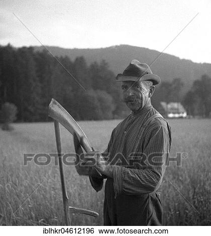 Stock Photograph - Man stands on the field and looks into the camera while sharpening a scythe with a knife, ca. 1945 to 1955, near Freiburg, Germany, Europe. Fotosearch