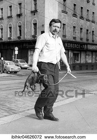 Man wears a dachshund on his neck ca. 1970s, exact place unknown, Czech Republic, Europe View Large Photo Image Stock Image - Man wears a dachshund on his neck ca. 1970s, exact place unknown, Czech Republic, Europe. Fotosearch