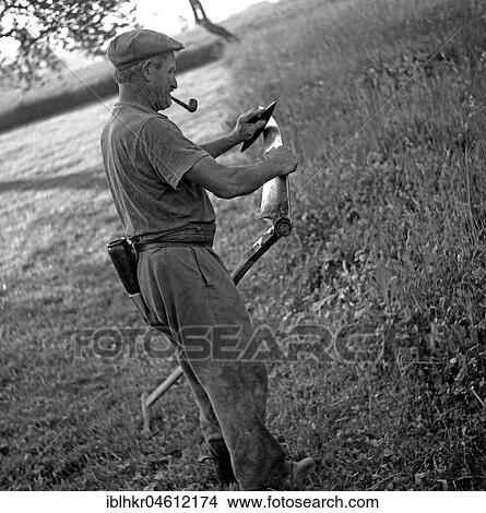Picture - Man with a pipe sharpened in his mouth sharpens a scythe with the help of a grindstone, around Freiburg ca. 1945 to 1955. Fotosearch