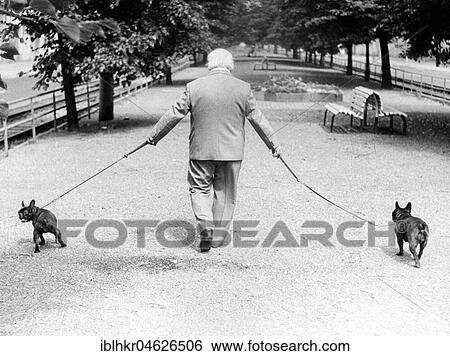Stock Photograph - Man with two dogs, ca. 1980s, East Berlin, GDR, Germany, Europe. Fotosearch