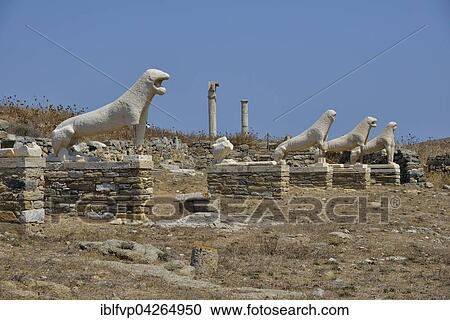 Marble Lion on the Lion Terrace, ancient site, Delos, UNESCO World Heritage Site, Cyclades, Greece, Europe View Large Photo Image Stock Image - Marble Lion on the Lion Terrace, ancient site, Delos, UNESCO World Heritage Site, Cyclades, Greece, Europe. Fotosearch