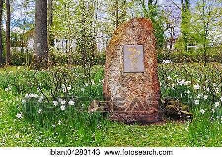 Stock Image - Memorial stone for the poet Friedrich Holderlin, Holderlin grove, Graflicher Park, Bad Driburg, North Rhine-Westphalia, Germany, Europe. Fotosearch