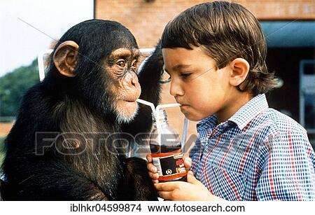 Monkey and boy share lemonade, England, Great Britain View Large Photo Image Picture - Monkey and boy share lemonade, England, Great Britain. Fotosearch