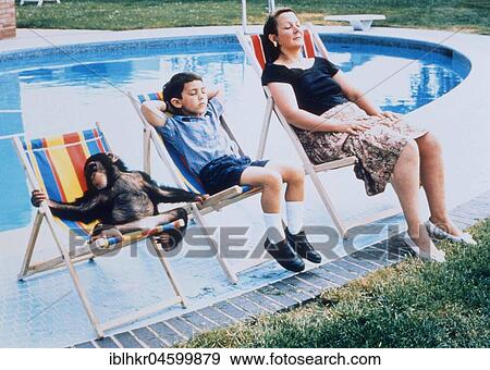Monkey in company at the swimming pool, England, Great Britain View Large Photo Image Stock Photo - Monkey in company at the swimming pool, England, Great Britain. Fotosearch