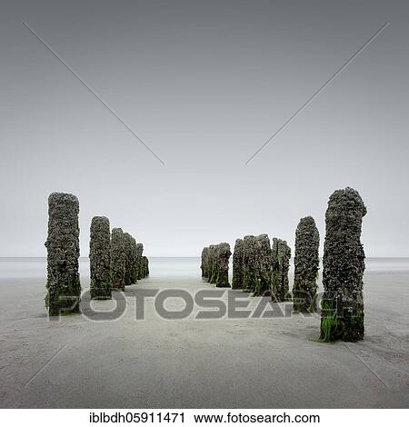 Moss-covered groynes, Rantum, Westerland, Sylt, North Frisia, North Frisian Islands, Schleswig-Holstein, Germany, Europe View Large Photo Image Stock Image - Moss-covered groynes, Rantum, Westerland, Sylt, North Frisia, North Frisian Islands, Schleswig-Holstein, Germany, Europe. Fotosearch