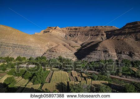 Mountains, eroded landscape with river oasis and small fields in the upper Dades valley, Oued Dades near Msemrir, High Atlas, South Morocco, Morocco, Africa View Large Photo Image Stock Photo - Mountains, eroded landscape with river oasis and small fields in the upper Dades valley, Oued Dades near Msemrir, High Atlas, South Morocco, Morocco, Africa. Fotosearch