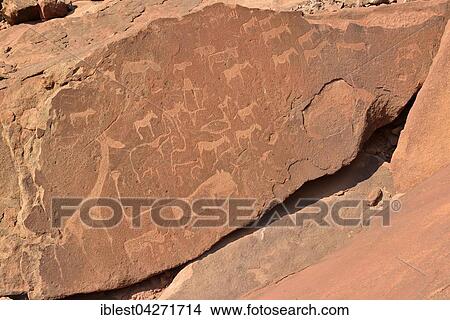Picture - Neolithic petroglyphs of animals, Twyfelfontein, Unesco World Heritage Site, Damaraland, Kunene Province, Namibia, Africa. Fotosearch