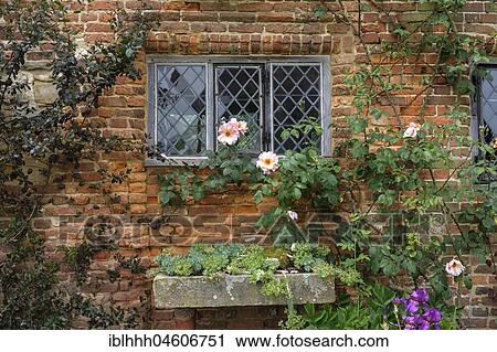Stock Image - Old brick facade with lattice windows, Sissinghurst Castle, county of Kent, England, Great Britain. Fotosearch