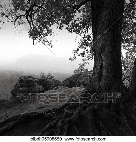 Outlook from the New Wildenstein, 2020, Saxon Switzerland, Saxony, Germany, Europe View Large Photo Image Stock Image - Outlook from the New Wildenstein, 2020, Saxon Switzerland, Saxony, Germany, Europe. Fotosearch