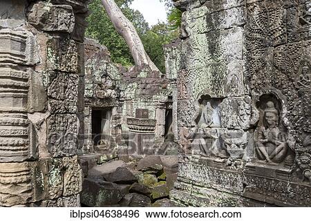 Stock Photograph - Preah Khan Temple, Angkor, Cambodia, Asia. Fotosearch