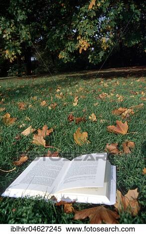 Reading in old age, Open book on Herbstwiese, Berlin, Germany, Europe View Large Photo Image Stock Photography - Reading in old age, Open book on Herbstwiese, Berlin, Germany, Europe. Fotosearch