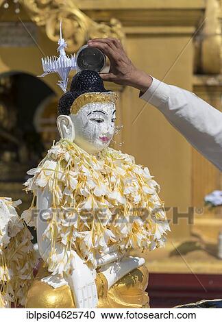 Ritual of pouring water over Buddha statue, Shwedagon Pagoda, Yangon, Rangoon, Myanmar, Burma, Asia View Large Photo Image Stock Image - Ritual of pouring water over Buddha statue, Shwedagon Pagoda, Yangon, Rangoon, Myanmar, Burma, Asia. Fotosearch