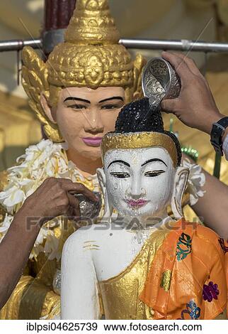 Ritual of pouring water over Buddha statue, Shwedagon Pagoda, Yangon, Rangoon, Myanmar, Burma, Asia View Large Photo Image Stock Photo - Ritual of pouring water over Buddha statue, Shwedagon Pagoda, Yangon, Rangoon, Myanmar, Burma, Asia. Fotosearch
