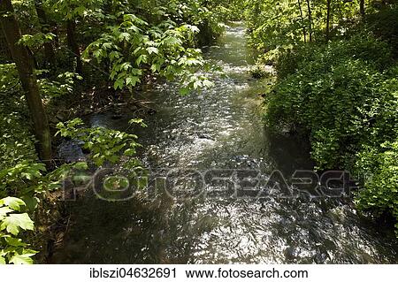 Stock Image - River Düssel im Neandertal, near Mettmann, Bergisches Land, North Rhine-Westphalia, Germany, Europe. Fotosearch