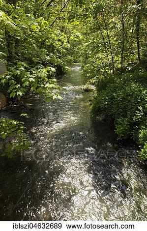 River Düssel im Neandertal, near Mettmann, Bergisches Land, North Rhine-Westphalia, Germany, Europe View Large Photo Image Stock Photo - River Düssel im Neandertal, near Mettmann, Bergisches Land, North Rhine-Westphalia, Germany, Europe. Fotosearch