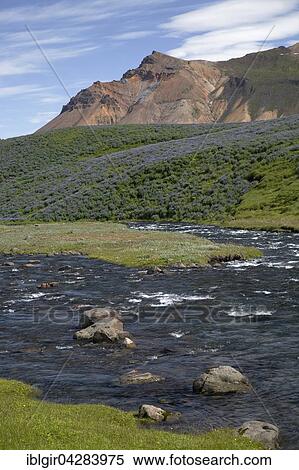 Stock Photography - River Fjaroara and vulcanic mountains, Borgafjordur, Iceland, Europe. Fotosearch
