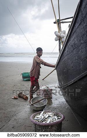 Rohingya, works for fishermen on the beach of Cox Bazaar, Bangladesh, Asia View Large Photo Image Stock Image - Rohingya, works for fishermen on the beach of Cox Bazaar, Bangladesh, Asia. Fotosearch