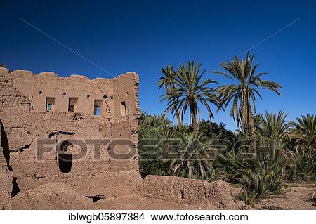 Ruins, rammed earth walls, remains of a kasbah, clay castle, Tighremt, Berber fortress in a palm grove, Skoura, Dade Valley, Southern Morocco, Morocco, Africa View Large Photo Image Picture - Ruins, rammed earth walls, remains of a kasbah, clay castle, Tighremt, Berber fortress in a palm grove, Skoura, Dade Valley, Southern Morocco, Morocco, Africa. Fotosearch