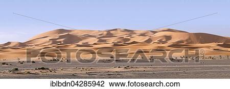 Stock Image - Sand dunes, Erg Chebbi, Merzouga, Sahara desert, Morocco, Africa. Fotosearch