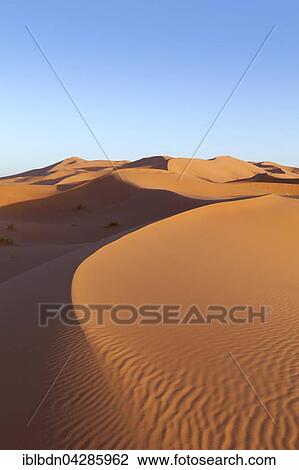 Sand dunes, Erg Chebbi, Merzouga, Sahara desert, Morocco, Africa View Large Photo Image Stock Image - Sand dunes, Erg Chebbi, Merzouga, Sahara desert, Morocco, Africa. Fotosearch