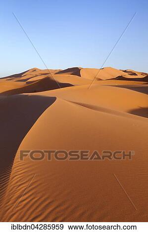 Sand dunes, Erg Chebbi, Merzouga, Sahara desert, Morocco, Africa View Large Photo Image Stock Photo - Sand dunes, Erg Chebbi, Merzouga, Sahara desert, Morocco, Africa. Fotosearch
