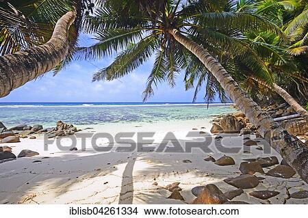 Picture - Sandy dream beach of Anse Baleine, Mahe Island, Seychelles, Africa. Fotosearch