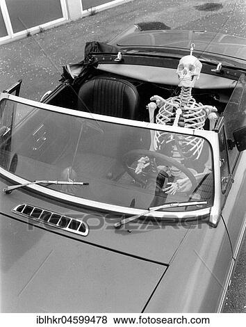 Skeleton drives a car, England, Great Britain View Large Photo Image Stock Photo - Skeleton drives a car, England, Great Britain. Fotosearch