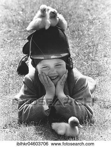 Small ducks are sitting on the riding helmet of a boy, England, Great Britain View Large Photo Image Stock Photograph - Small ducks are sitting on the riding helmet of a boy, England, Great Britain. Fotosearch