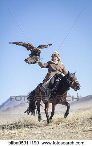 Spai Bashakan trains his female eagle, Olgii, Mongolia, Asia View Large Photo Image Stock Image - Spai Bashakan trains his female eagle, Olgii, Mongolia, Asia. Fotosearch