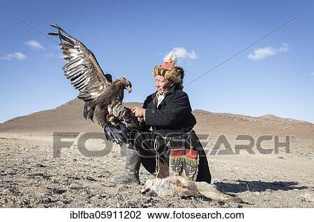 Spai Bashakan trains his female eagle, Olgii, Mongolia, Asia View Large Photo Image Stock Image - Spai Bashakan trains his female eagle, Olgii, Mongolia, Asia. Fotosearch