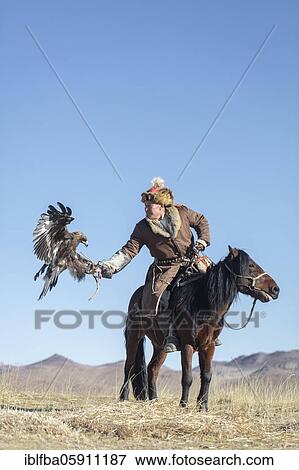 Spai Bashakan trains his female eagle, Olgii, Mongolia, Asia View Large Photo Image Stock Photo - Spai Bashakan trains his female eagle, Olgii, Mongolia, Asia. Fotosearch
