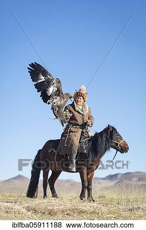Spai Bashakan trains his female eagle, Olgii, Mongolia, Asia View Large Photo Image Stock Photo - Spai Bashakan trains his female eagle, Olgii, Mongolia, Asia. Fotosearch