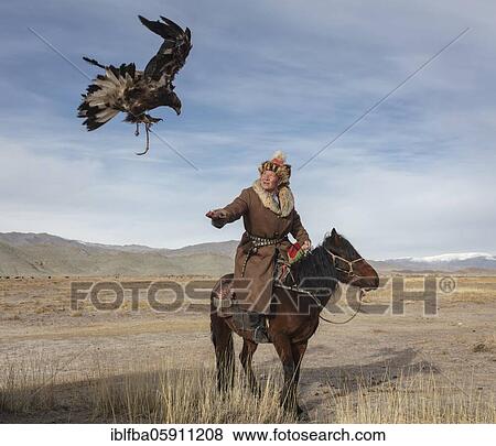 Spai Bashakan trains his female eagle, Olgii, Mongolia, Asia View Large Photo Image Stock Photo - Spai Bashakan trains his female eagle, Olgii, Mongolia, Asia. Fotosearch