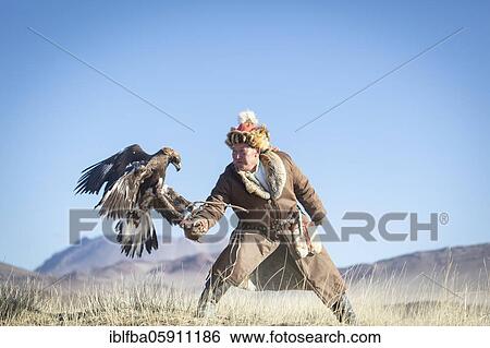 Spai Bashakan trains his female eagle, Olgii, Mongolia, Asia View Large Photo Image Stock Photograph - Spai Bashakan trains his female eagle, Olgii, Mongolia, Asia. Fotosearch