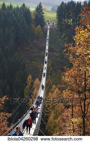 Stock Photo - Suspension bridge over Geierlay Morsdorfer Bachtal, Morsdorf, Hunsruck, Rhineland-Palatinate, Germany, Europe. Fotosearch