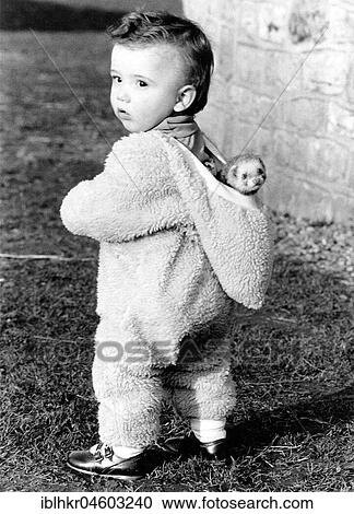 Stock Image - Toddler wears ferret in hood, England, Great Britain. Fotosearch