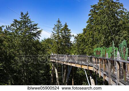 Tree top walk Salzkammergut am Grünberg, Gmunden, Salzkammergut, Upper Austria, Austria, Europe View Large Photo Image Picture - Tree top walk Salzkammergut am Grünberg, Gmunden, Salzkammergut, Upper Austria, Austria, Europe. Fotosearch