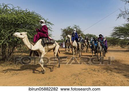 Tuaregs on their camels, Gerewol festival, courtship ritual competition among the Woodaabe Fula people, Niger, Africa View Large Photo Image Stock Image - Tuaregs on their camels, Gerewol festival, courtship ritual competition among the Woodaabe Fula people, Niger, Africa. Fotosearch