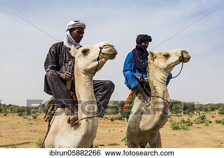 Stock Photograph - Tuaregs on their camels, Gerewol festival, courtship ritual competition among the Woodaabe Fula people, Niger, Africa. Fotosearch