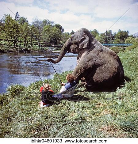 Two children fishing with an elephant on the river, England, Great Britain View Large Photo Image Stock Image - Two children fishing with an elephant on the river, England, Great Britain. Fotosearch