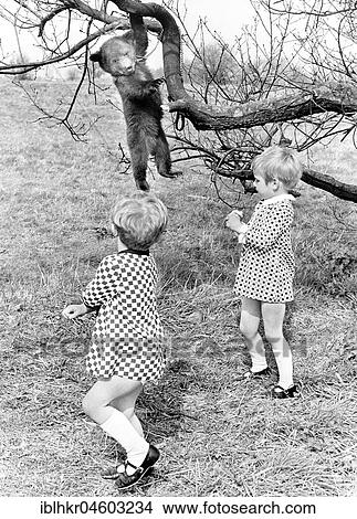 Picture - Two girls and a little bear hanging from a tree, England, Great Britain. Fotosearch