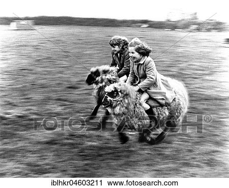 Two girls ride a race on sheep, England, Great Britain View Large Photo Image Stock Image - Two girls ride a race on sheep, England, Great Britain. Fotosearch