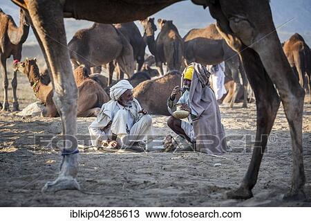 Two men having a drink, Pushkar Camel Fair, Pushkar, Rajasthan, India, Asia View Large Photo Image Stock Image - Two men having a drink, Pushkar Camel Fair, Pushkar, Rajasthan, India, Asia. Fotosearch