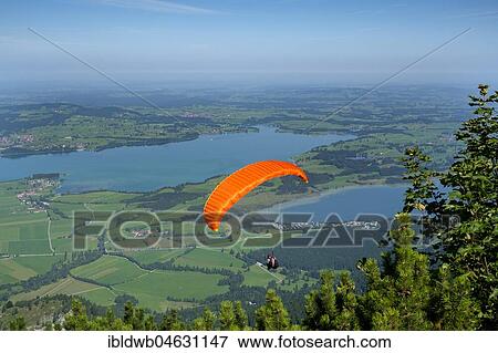 View from the Tegelberg, paraglider, behind it Forggensee, Ostallgäu, Allgäu, Swabia, Bavaria, Germany, Europe View Large Photo Image Stock Photo - View from the Tegelberg, paraglider, behind it Forggensee, Ostallgäu, Allgäu, Swabia, Bavaria, Germany, Europe. Fotosearch