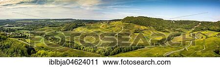 Vineyards of Chateau-Chalon, Jura department, Bourgogne-Franche-Comté, France, Europe View Large Photo Image Stock Image - Vineyards of Chateau-Chalon, Jura department, Bourgogne-Franche-Comté, France, Europe. Fotosearch