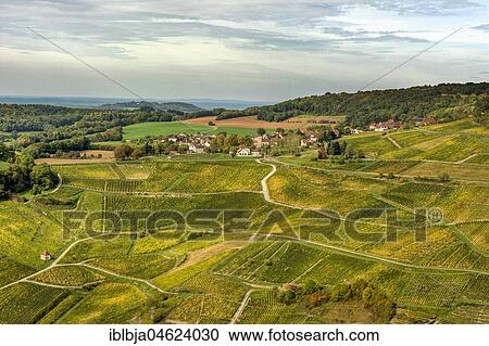 Vineyards of Chateau-Chalon, Jura department, Bourgogne-Franche-Comté, France, Europe View Large Photo Image Stock Image - Vineyards of Chateau-Chalon, Jura department, Bourgogne-Franche-Comté, France, Europe. Fotosearch