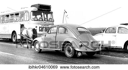 VW Beetle is pulled by a Perd, a PS, Mexico City, Mexico, Central America View Large Photo Image Stock Photo - VW Beetle is pulled by a Perd, a PS, Mexico City, Mexico, Central America. Fotosearch
