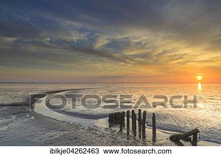 Stock Image - Wadden Sea, Wremen, Lower Saxony, Germany, Europe. Fotosearch