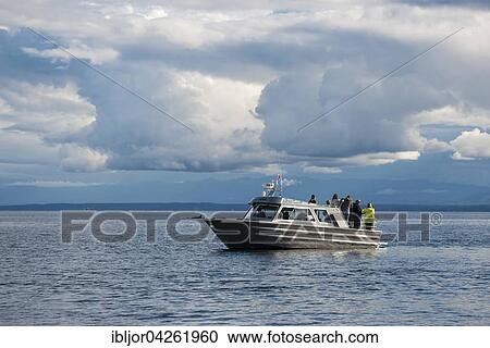Stock Image - Whale watching, boat with tourists, Orford River, Vancouver Island, British Columbia, Canada, North America. Fotosearch